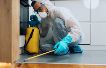 Pest Control Services