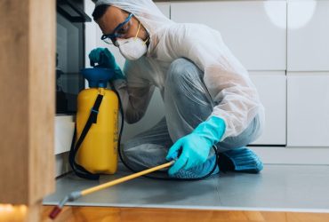 Pest Control Services